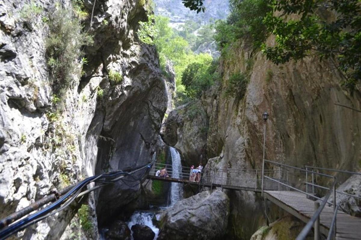 un grup de oameni care stau pe un pod peste o cascadă