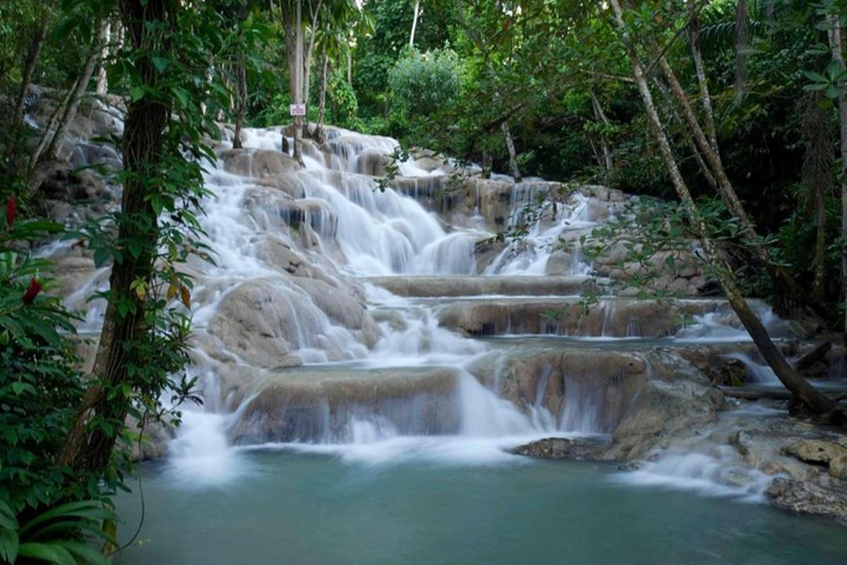 a waterfall in the middle of a forest