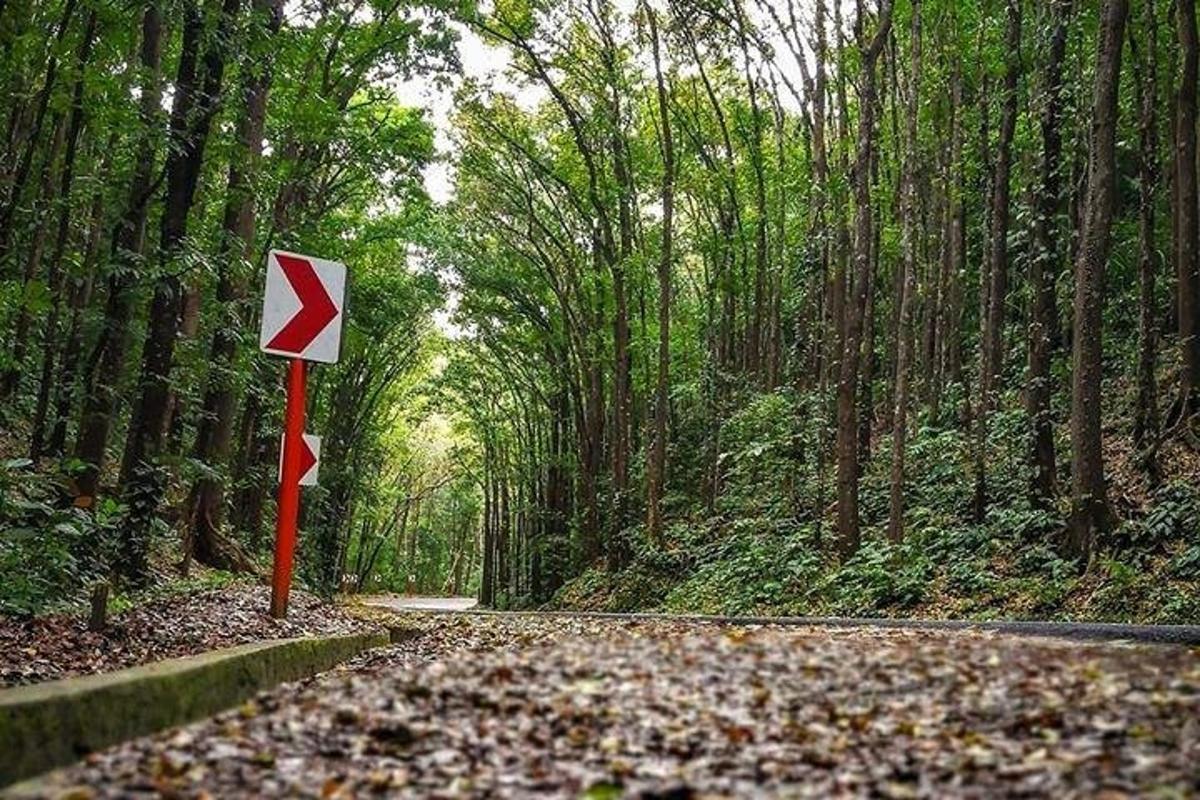 Fotografia da atração 3