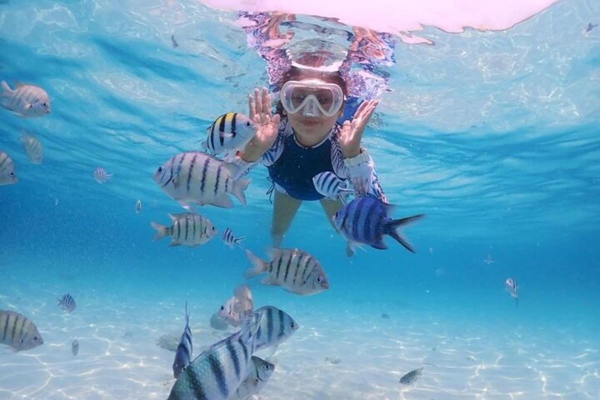 a woman is underwater with fish in the water