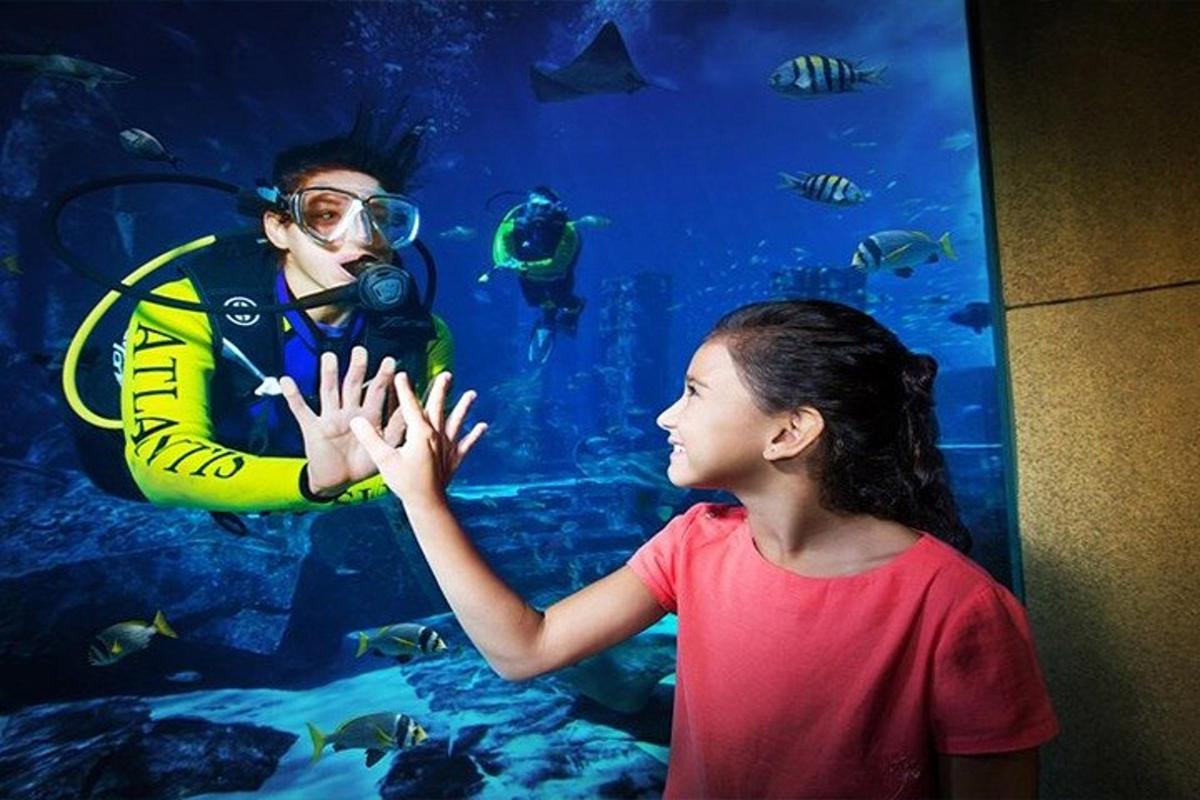 Attraction picture 1