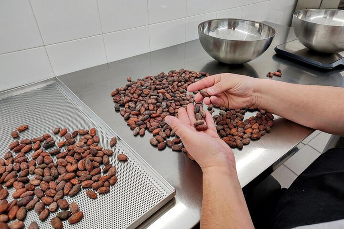 člověk aranžuje kávová zrna na pultu