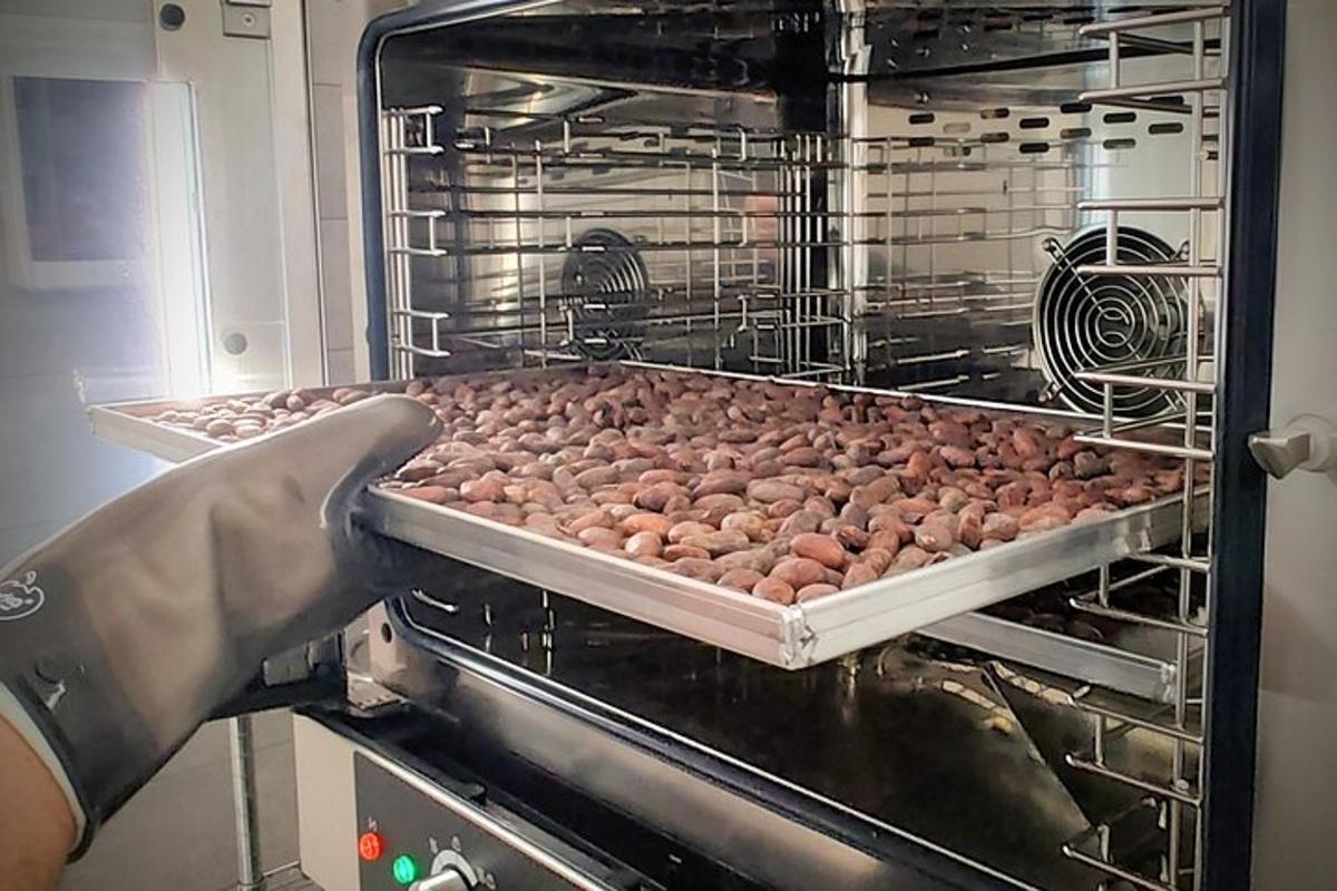 osoba, která dává plech brambor do trouby