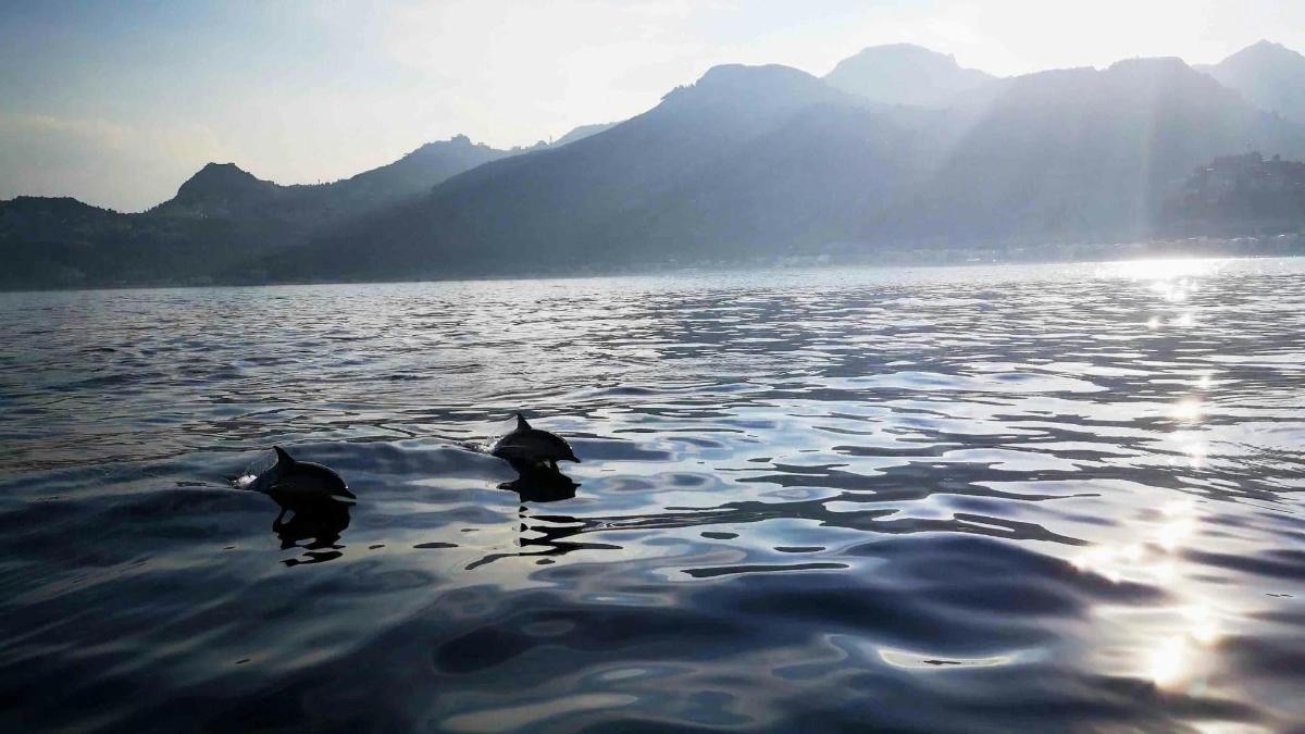 Lankytinos vietos ar pramogos nuotrauka numeris 2