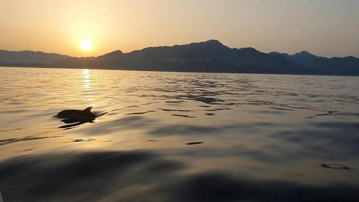 Lankytinos vietos ar pramogos nuotrauka numeris 3