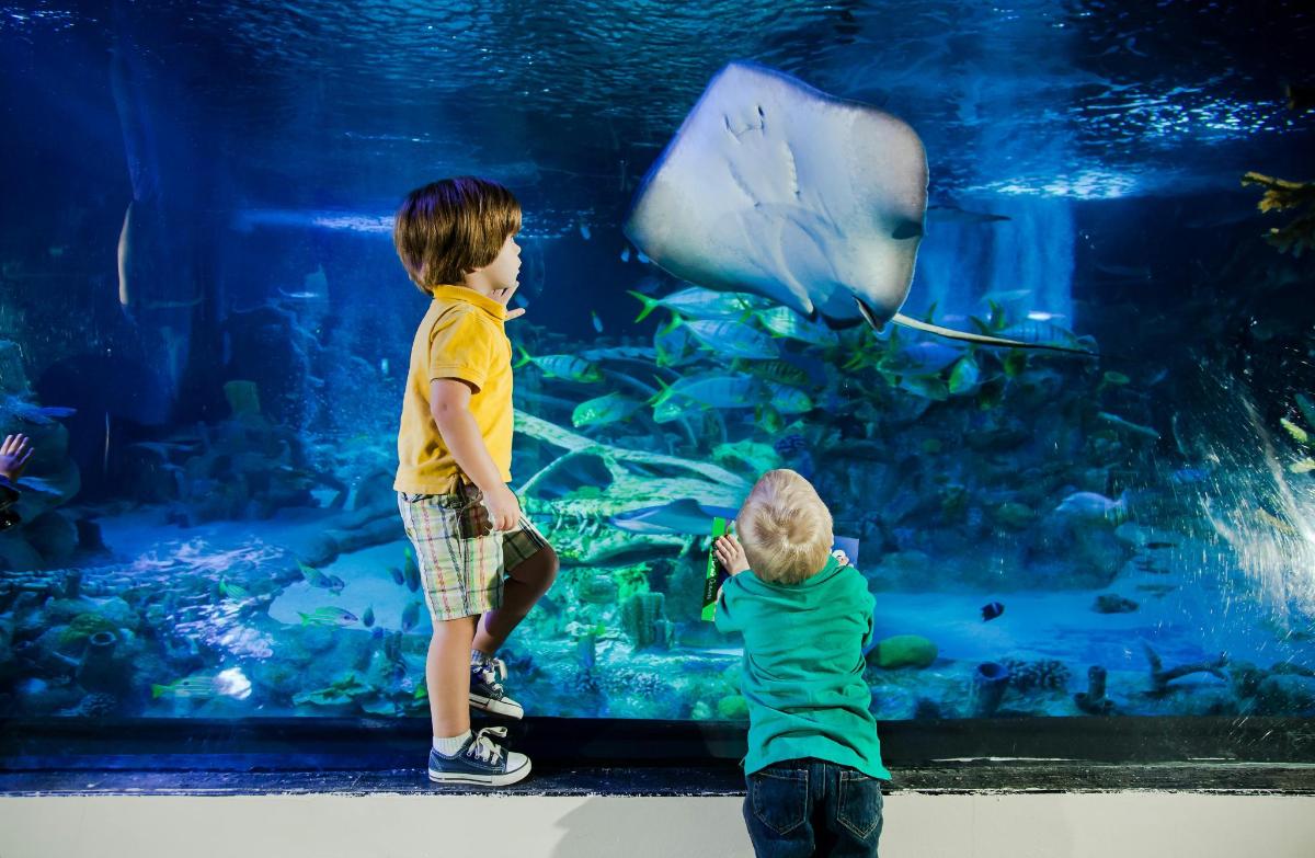 2枚目の観光スポット・アクティビティの写真