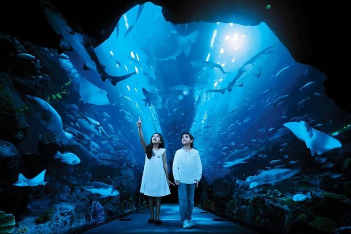 Attraction picture 6