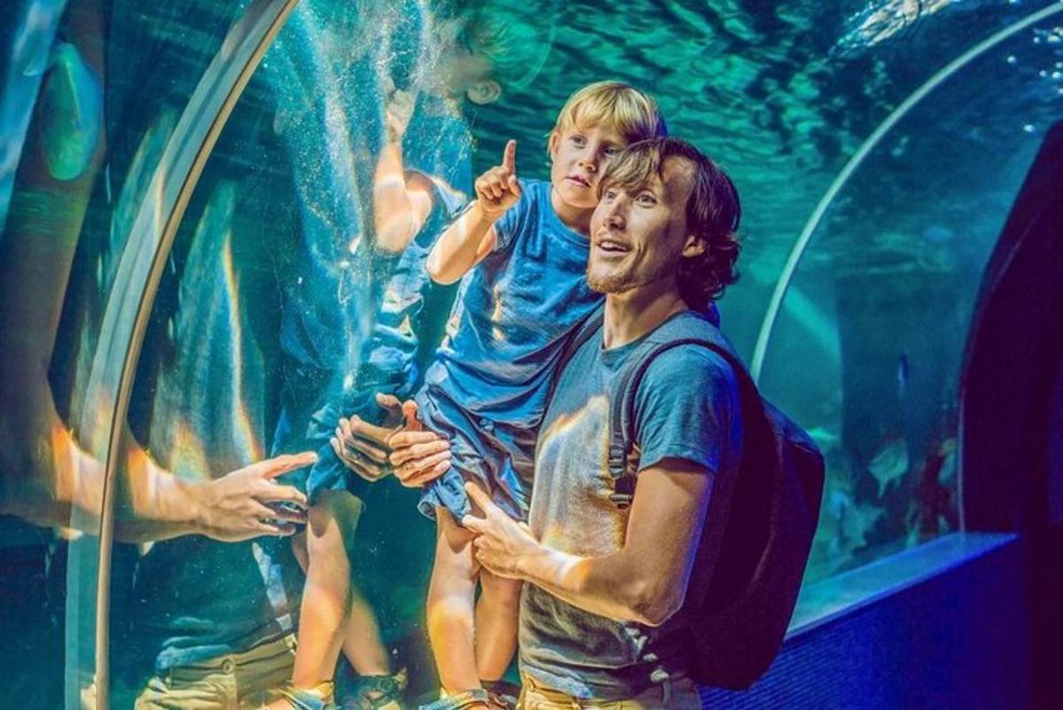 Attraction picture 7