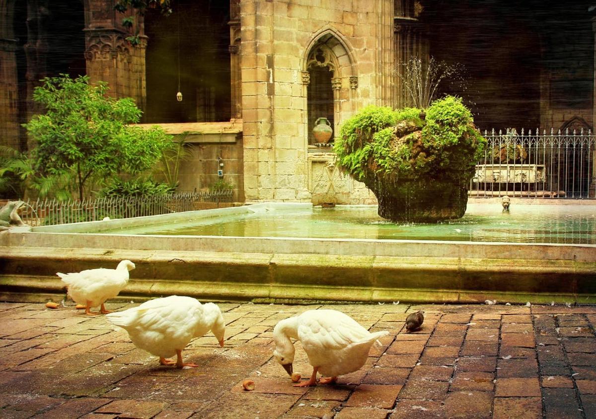 a group of chickens standing in front of a building