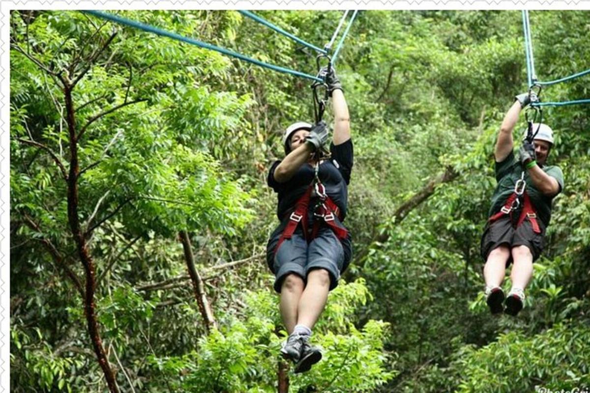 dua orang di jalur zipline di pepohonan
