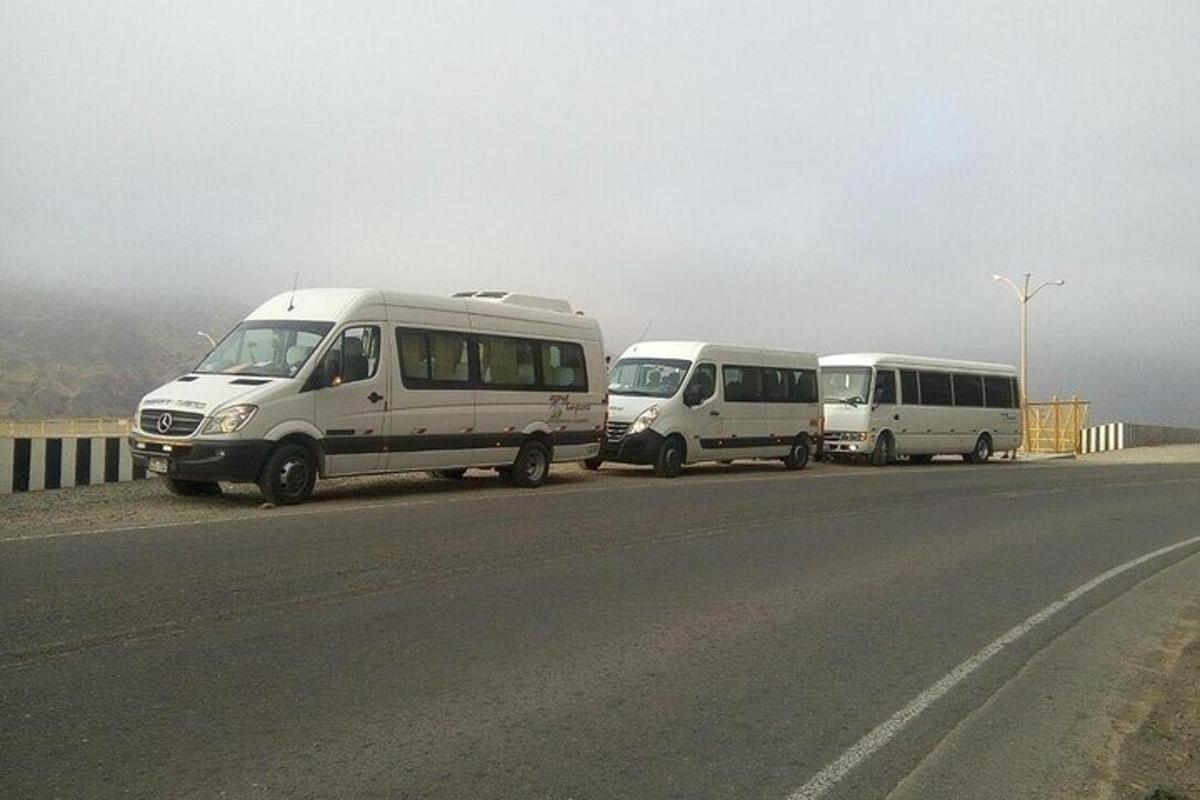 three white buses parked on the side of a road