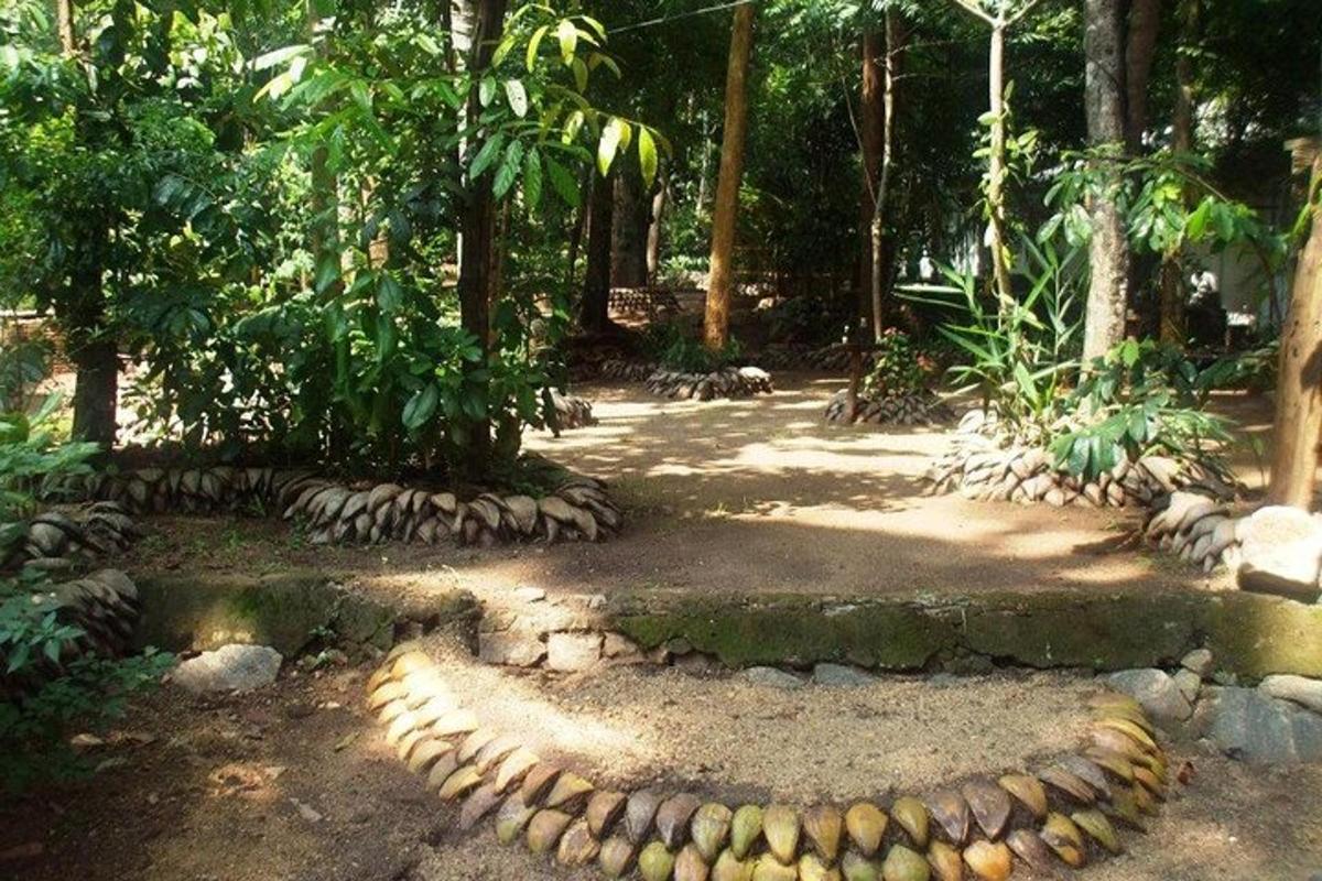un giardino con un cerchio di rocce e alberi