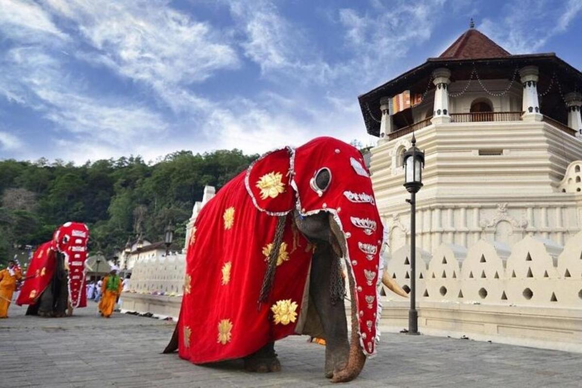an elephant dressed in red standing in front of a building