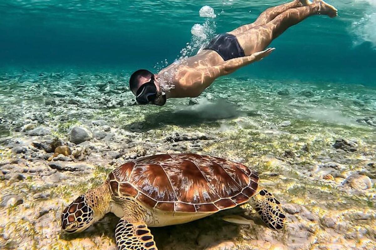 un uomo che nuota accanto a una tartaruga nell'oceano