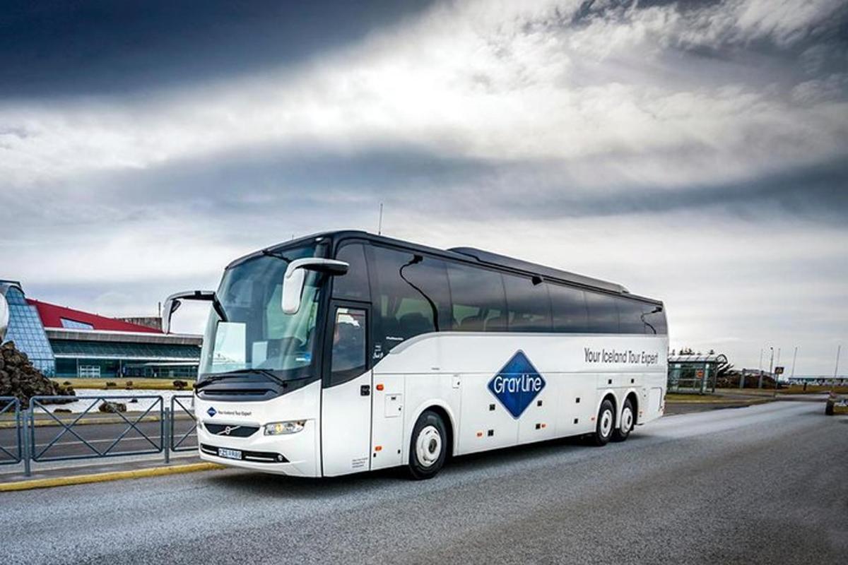 un autobuz alb circulă pe un drum