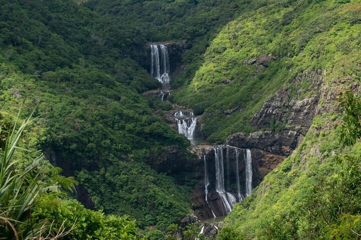 Un grupo de cascadas en una montaña con árboles.