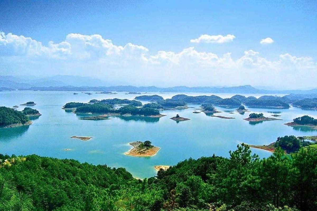 an island in a large body of water with trees