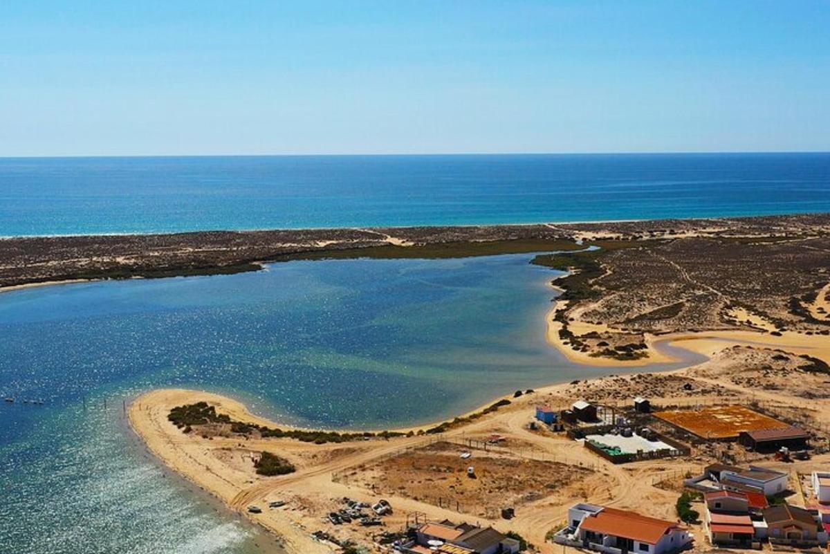 una vista aerea di una spiaggia e dell'oceano