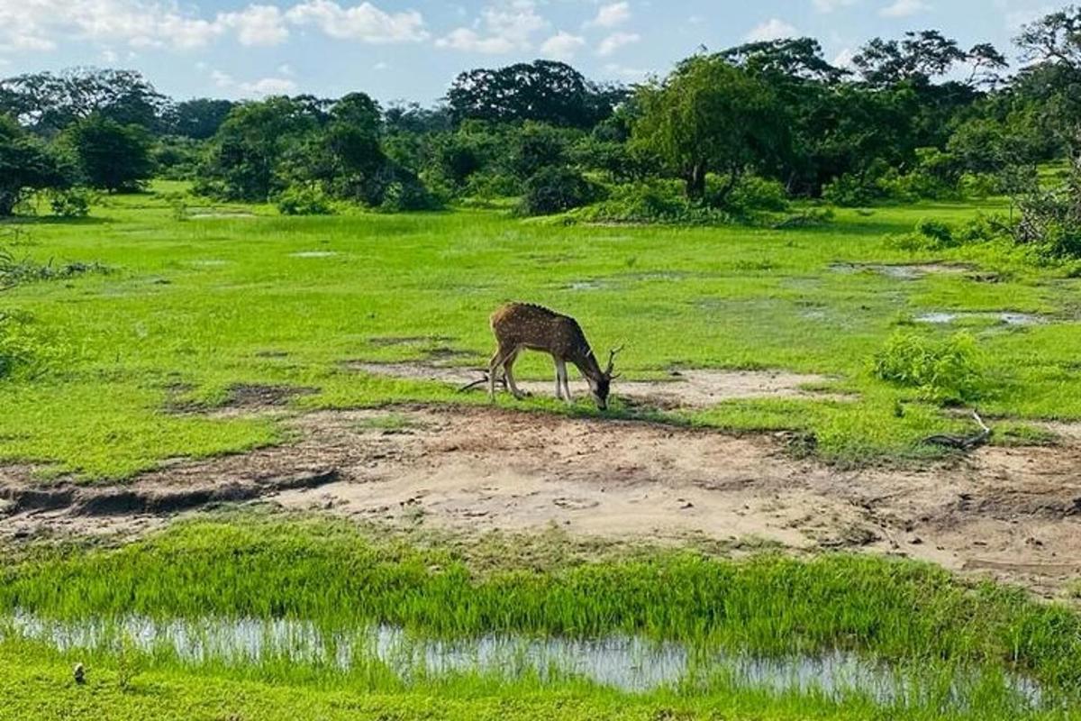 Fotografia da atração 3