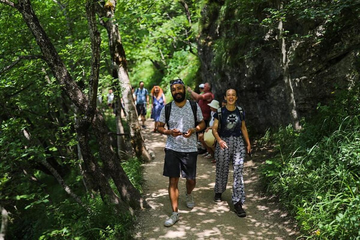 skupina lidí jdoucích po stezce v lese