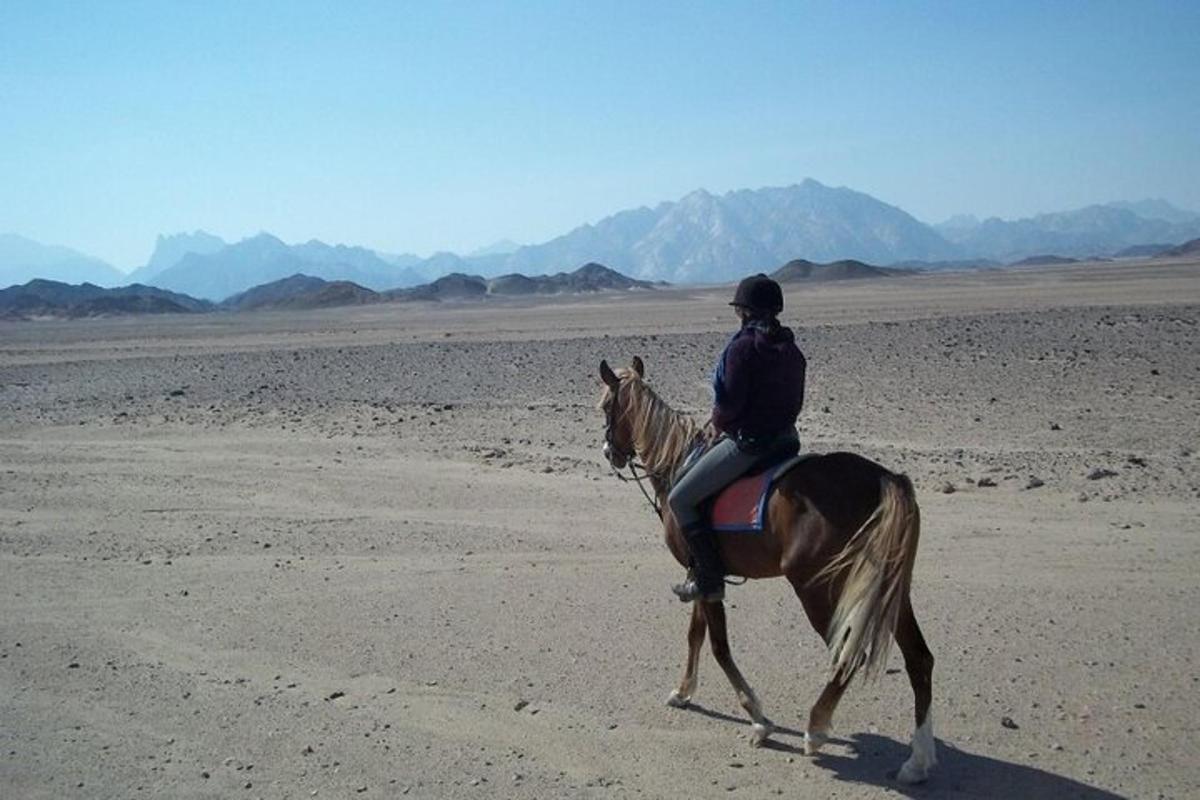 una persona a cavallo nel deserto