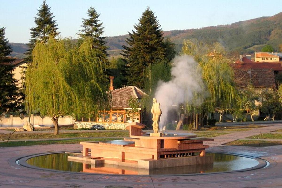 a fountain with a statue in the middle of a park