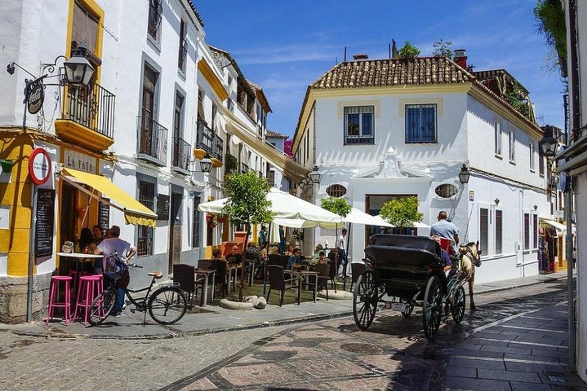 uma carruagem puxada por cavalos em uma rua da cidade