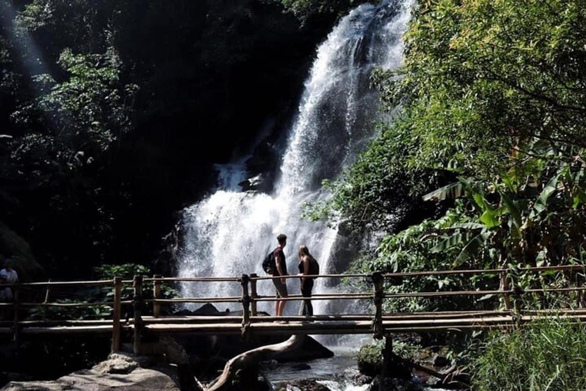 dues persones dempeus en un pont davant d'una cascada