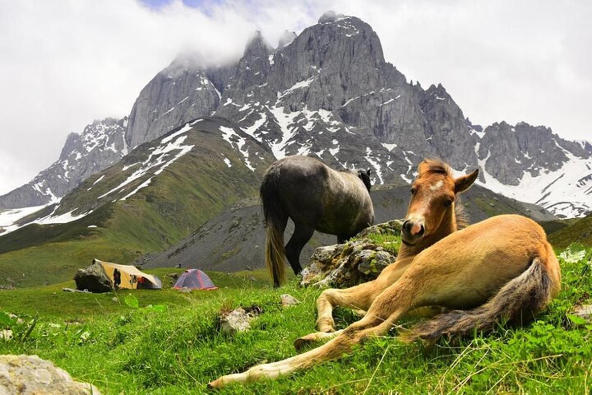 Ljósmynd af afþreyingu 4