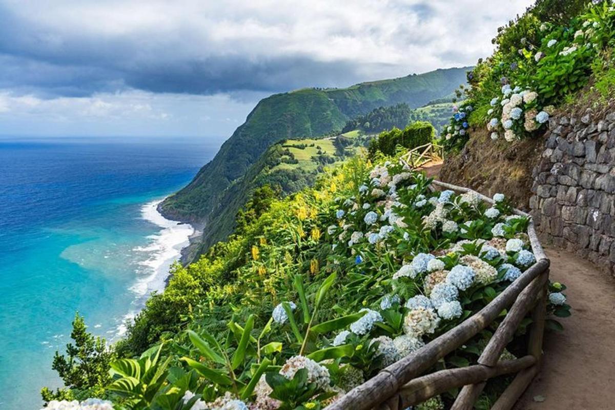 uma vista do oceano com flores em um penhasco