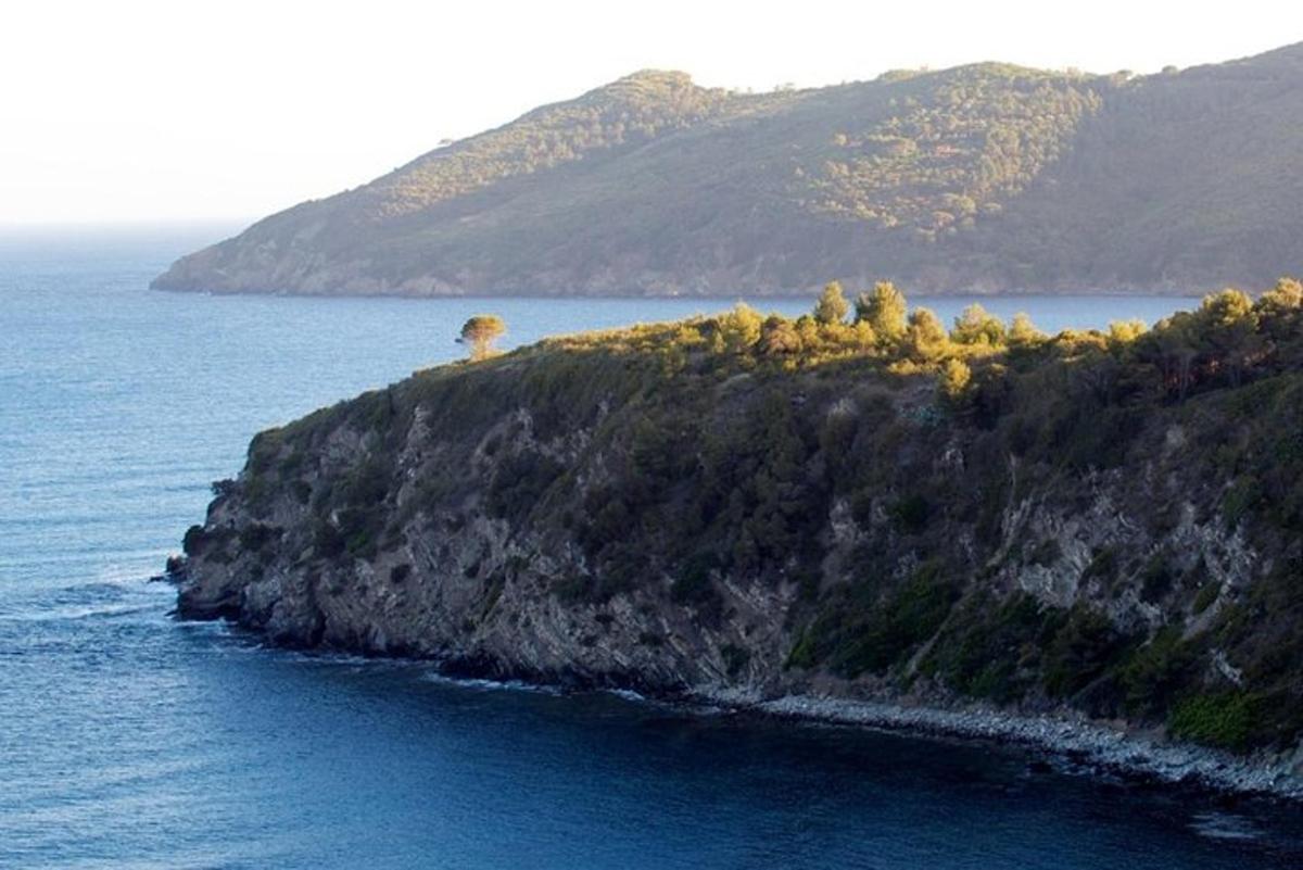 an island in the ocean with animals on it
