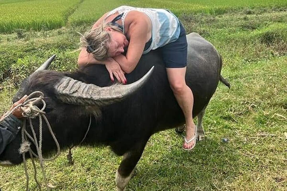 uma mulher está deitada nas costas de uma vaca