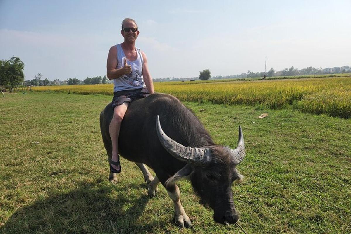 muž jedoucí na býkovi na poli