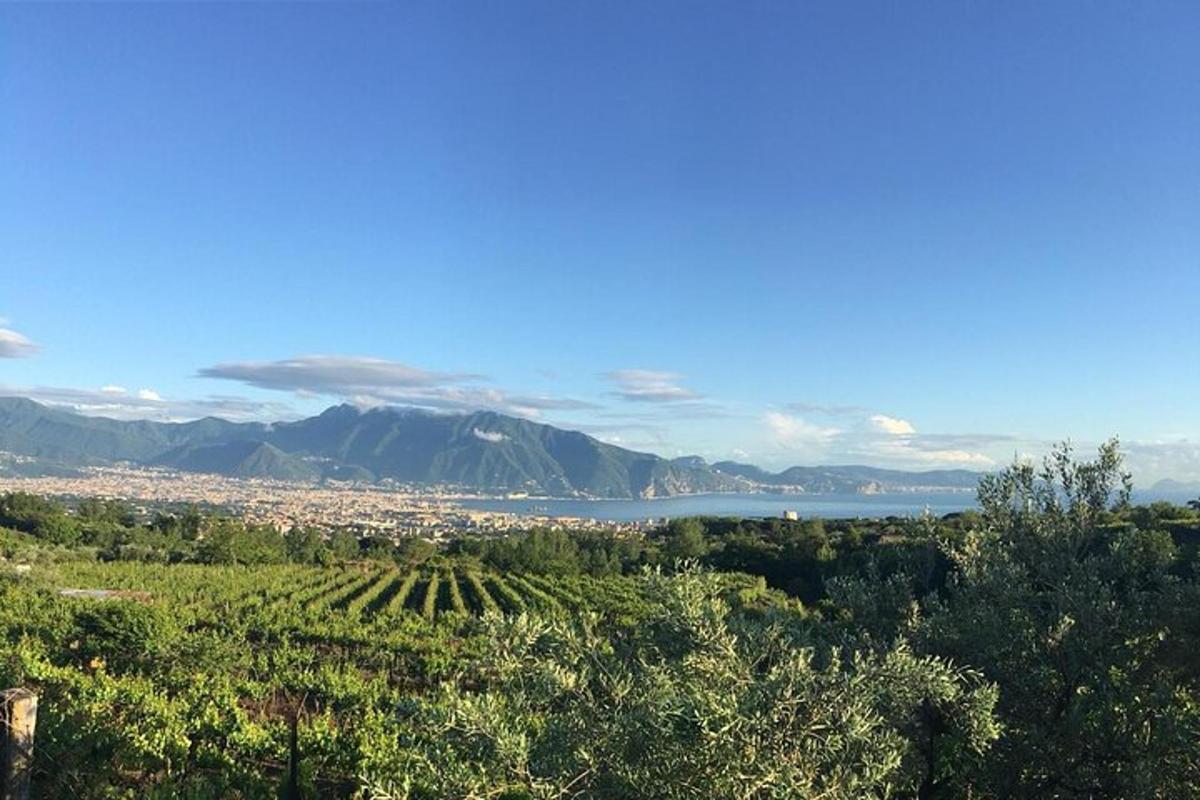 una vista di una città, di un lago e di montagne
