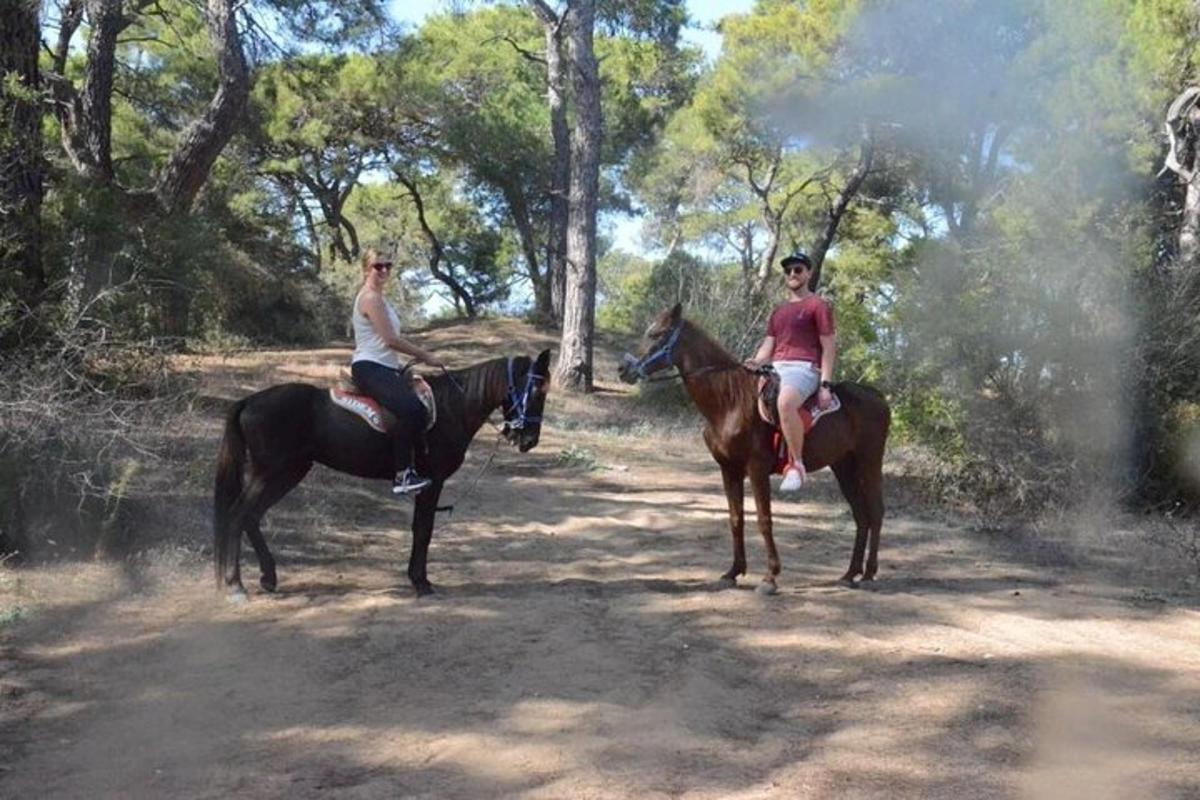 two people riding horses on a dirt road