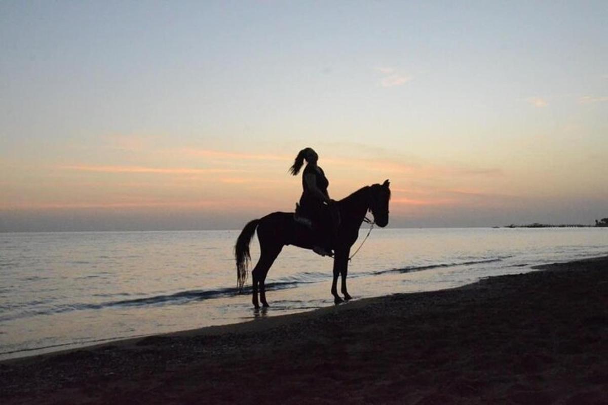 a woman riding a horse on the beach