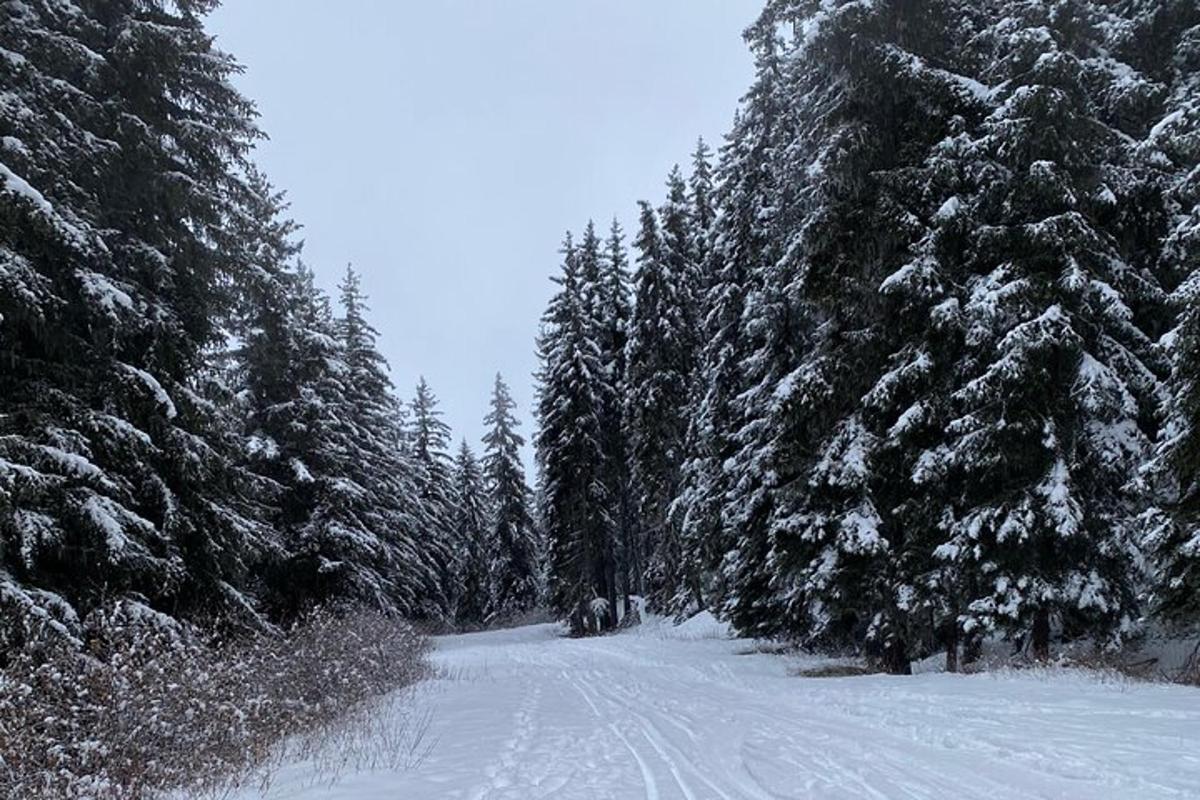 Fotografia 3 a atracției