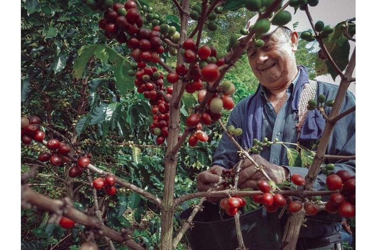 Fotografia da atração 5