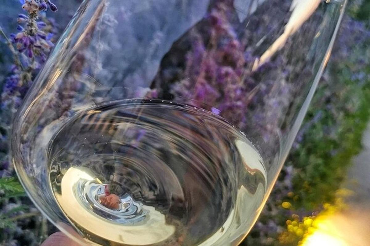 a person holding a glass of white wine