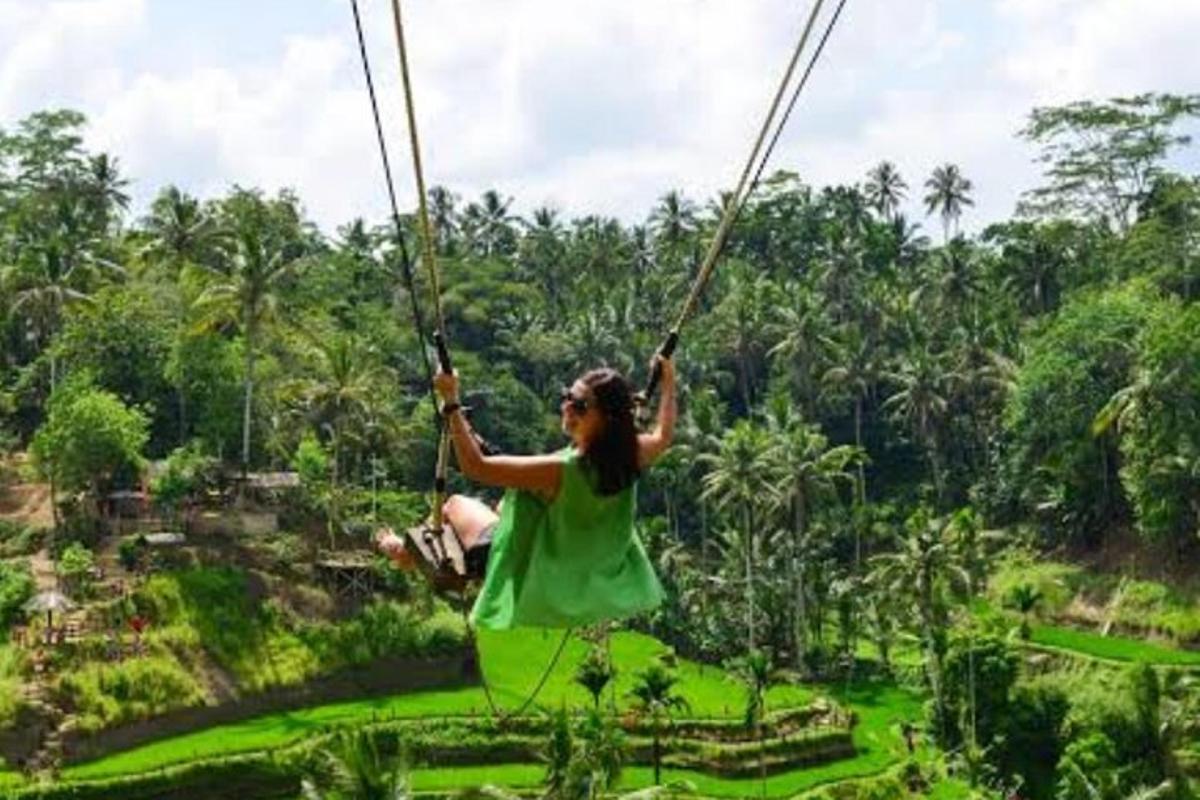 a woman swinging on a zip line in the jungle