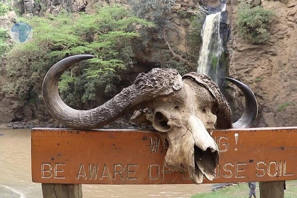 un elefant amb la trompa en un rètol al costat d'una cascada