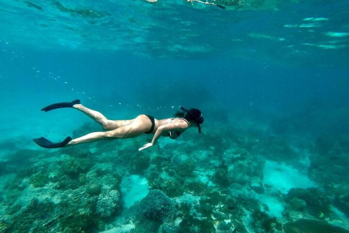 žena plavající ve vodě v oceánu