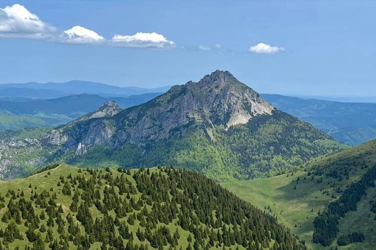 una vista aerea di una montagna con alberi