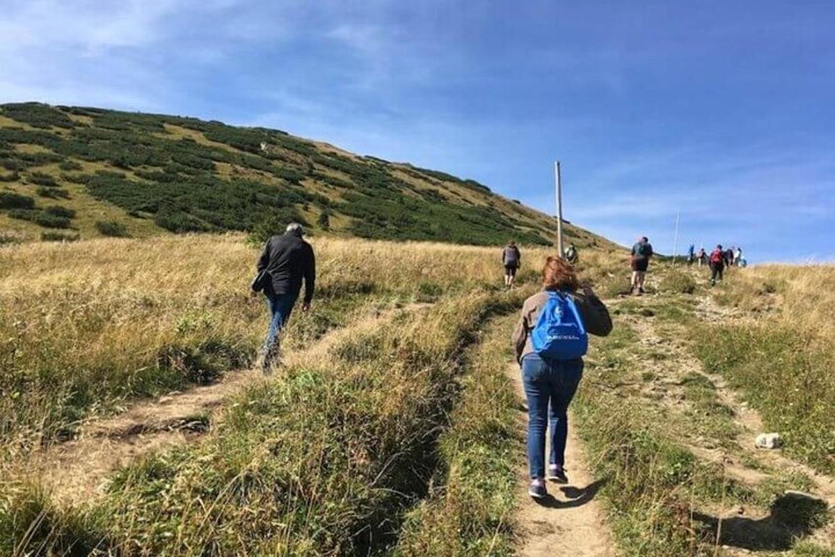 un gruppo di persone che cammina su una collina lungo un sentiero