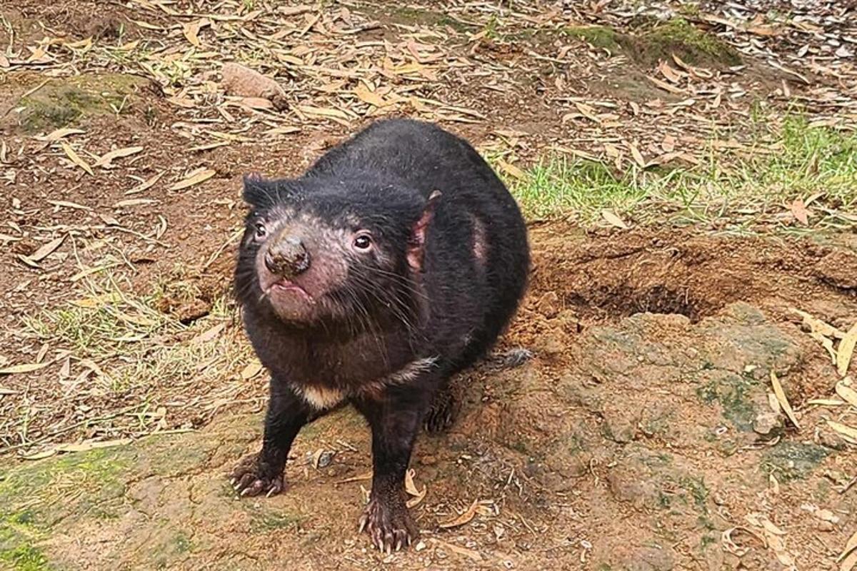 Fotografia da atração 7