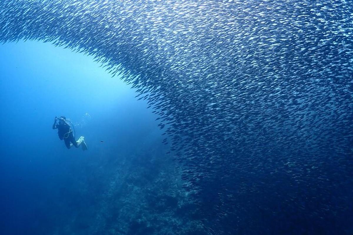 osoba plavající v oceánu s vodní plochou