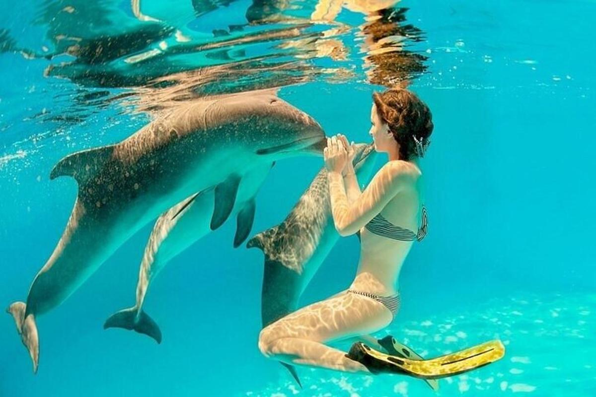 una ragazza in acqua con un delfino