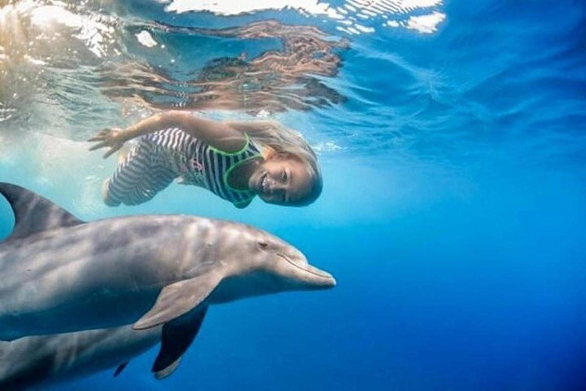 una donna che nuota nell'acqua con due delfini