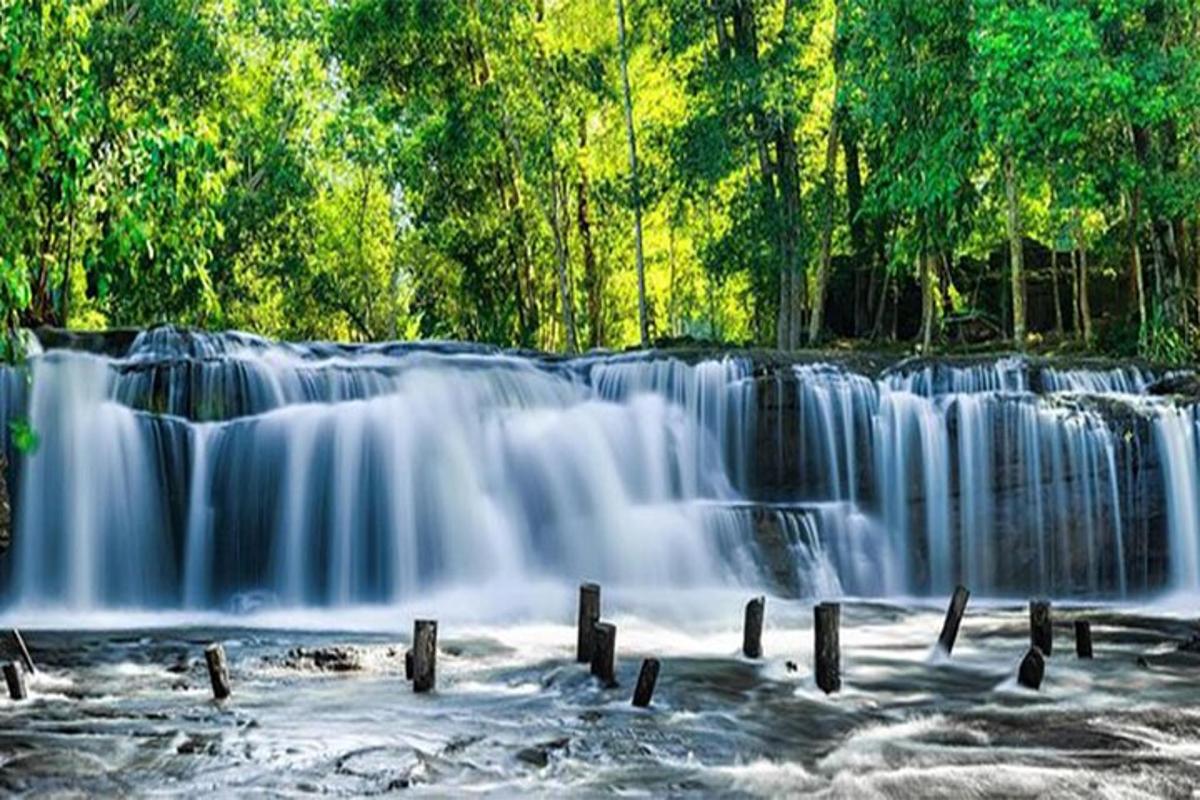 una cascada al mig d'un bosc