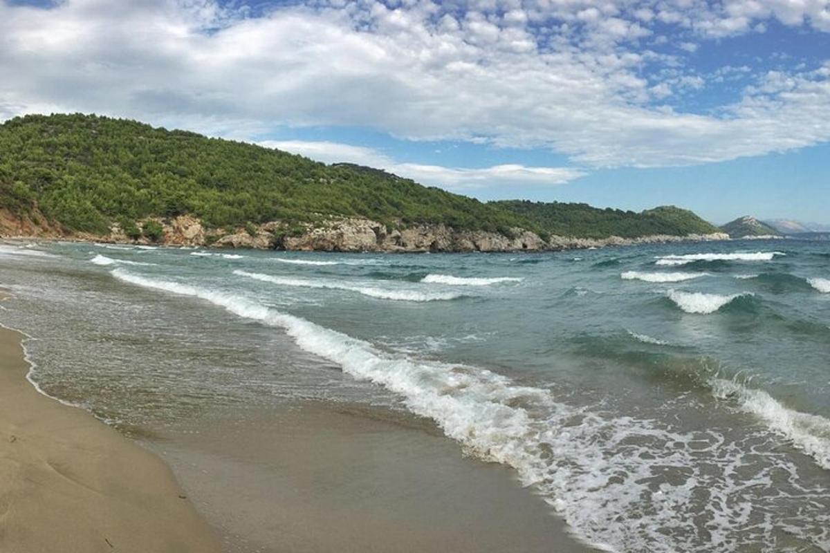 θέα στον ωκεανό με μια παραλία με κύματα